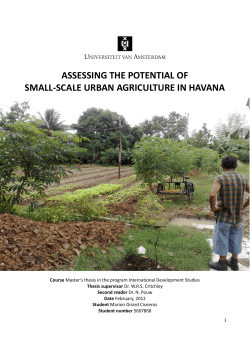 assessing the potential of small-scale urban agriculture in havana