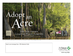 the Southern Coastal Plain Forests