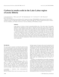 Carbon in tundra soils in the Lake Labaz region - GEO-LEO e-docs
