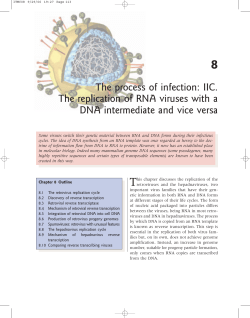 The process of infection: IIC. The replication of RNA viruses with a