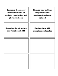 Compare the energy transformations of cellular respiration and