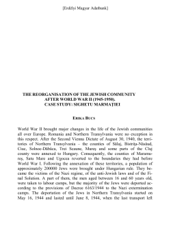 CASE STUDY: SIGHETU MARMA