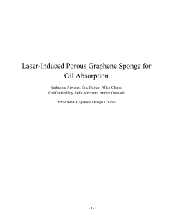 Graphene Sponge