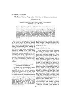 The Role of Marine Fungi in the Penetration of Calcareous