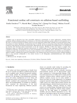 Functional cardiac cell constructs on cellulose