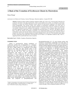 A Basis of the Crenation of Erythrocyte Ghosts by