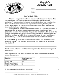 Primary - Maggie`s Earth Adventures