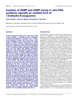 Insertion of dGMP and dAMP during in vitro DNA synthesis opposite