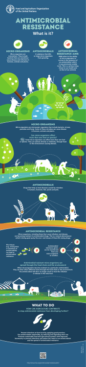 Antimicrobial Resistance. What is it?