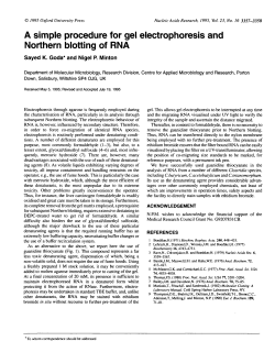 A simple procedure for gel electrophoresis and