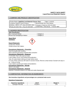 SAFETY DATA SHEET Liquid Rock and Waterfall Cleaner 1