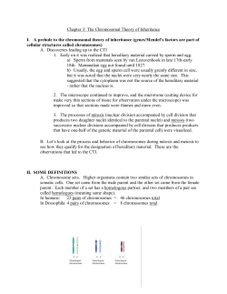 Chapter 3: The Chromosomal Theory of Inheritance I. A prelude to