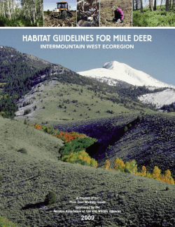 Habitat Guidelines for Mule Deer