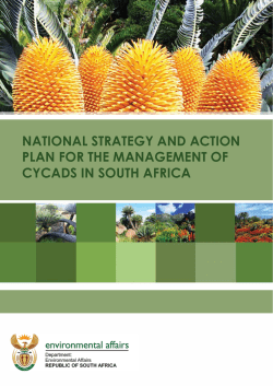 NATIONAL STRATEGY AND ACTION PLAN FOR