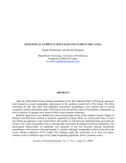GEOLOGICAL EVIDENCE FOR PALEO