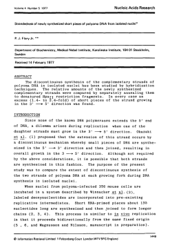 Strandedness of newly synthesized short pieces of polyoma DNA