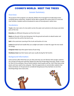 Lesson Summary COSMO`S WORLD: MEET THE TREES