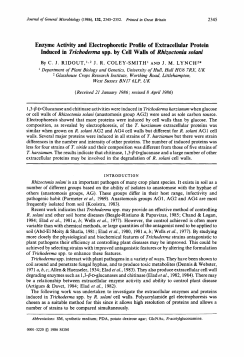 Enzyme Activity and Electrophoretic Profile of