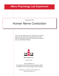 Human Nerve Conduction
