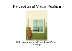 Perception of Visual Realism