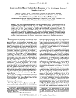 as a PDF