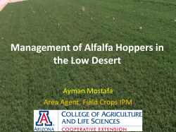 Alfalfa Hoppers management - The University of Arizona Extension