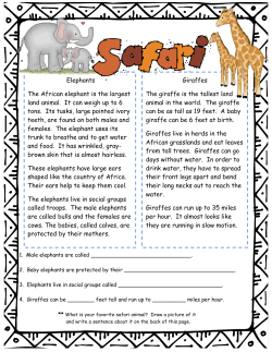 Elephants The African elephant is the largest land animal. It can