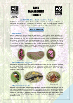 Heath - The Wildlife Trust of South and West Wales
