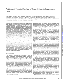 Position and Velocity Coupling of Postural Sway to Somatosensory