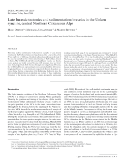 Late Jurassic tectonics and sedimentation: breccias in the Unken