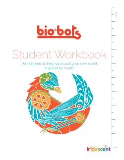 Student Workbook - Iridescent Learning