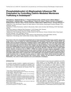 Phosphatidylinositol 4,5-Bisphosphate Influences