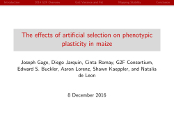 The effects of artificial selection on phenotypic plasticity in maize