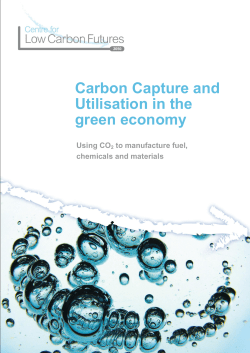 Carbon Capture and Utilisation in the green economy