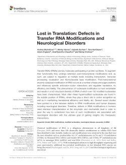 Lost in translation: Defects in transfer RNA modifications and