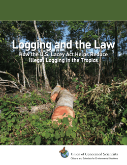 Logging and the Law - Union of Concerned Scientists