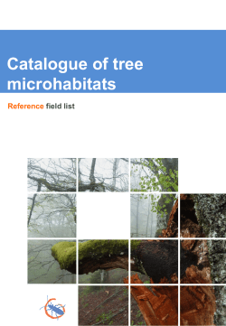 Catalogue of tree microhabitats