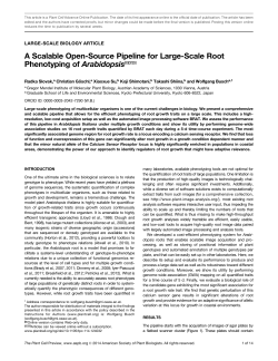 A Scalable Open-Source Pipeline for Large