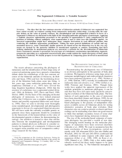 as a PDF