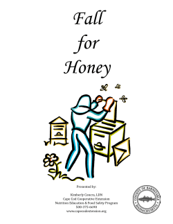 Fall for Honey