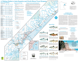 A Fishing Guide to Lake Superior and North Shore