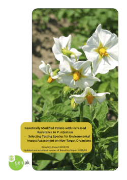 Genetically Modified Potato with Increased Resistance to P. infestans