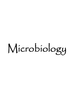 Microbiology - Mr. Hill`s Science Website