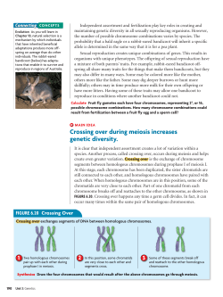 Crossing over during meiosis increases genetic diversity.
