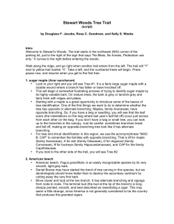 Stewart Woods Tree Trail script
