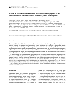 Meiosis in holocentric chromosomes