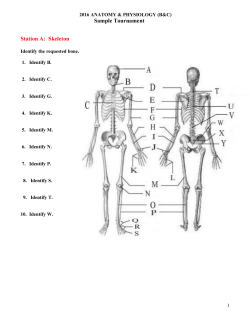Sample Tournament Station A: Skeleton
