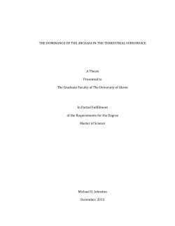 i THE DOMINANCE OF THE ARCHAEA IN THE TERRESTRIAL