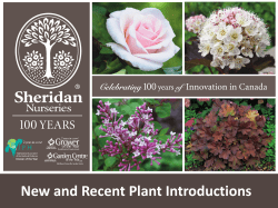 New and Recent Plant Introductions