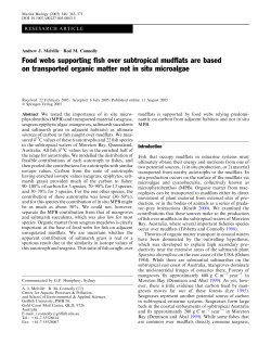 Food webs supporting fish over subtropical mudflats